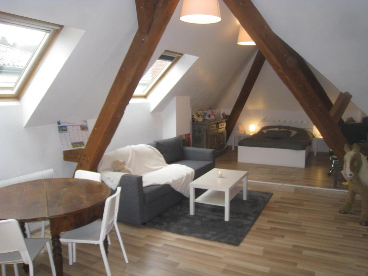 Chambres Privatives Chez L'Habitant Guebwiller Bagian luar foto