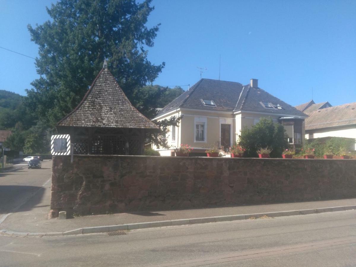 Chambres Privatives Chez L'Habitant Guebwiller Bagian luar foto